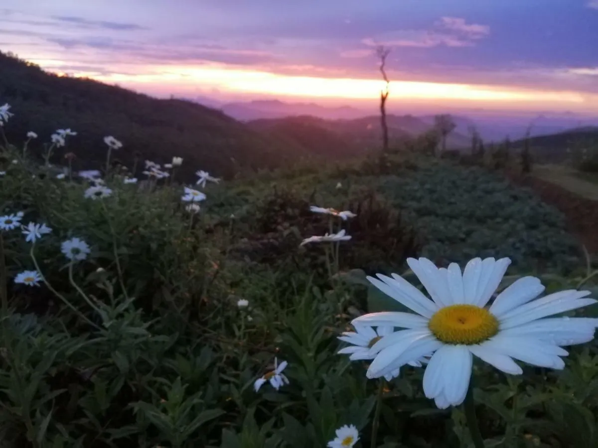 Holiday home White House Villa Nuwara Eliya Sri Lanka